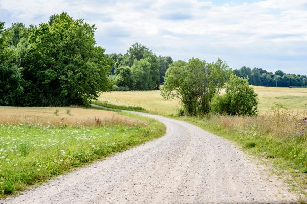Cost of Stone Driveway Repair in Laurel