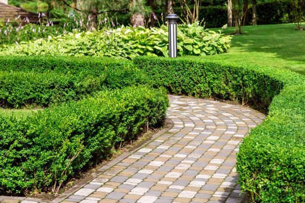 Paved Landscaping in Laurel