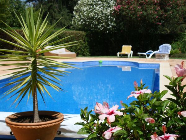 Pool Terrace Renovation in Laurel