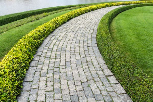 Sidewalk Pavers Installation in Laurel