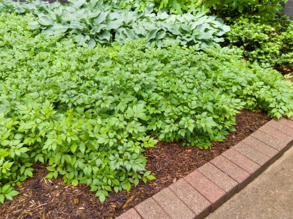 Cost of Brick Hardscaping in Laurel